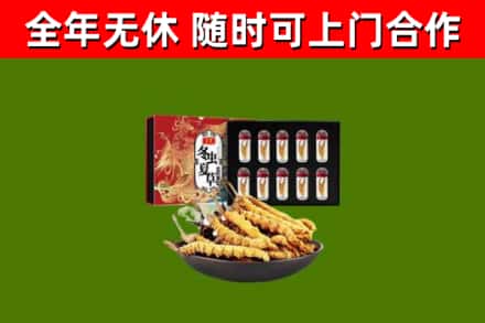 祁连县回收冬虫夏草价格